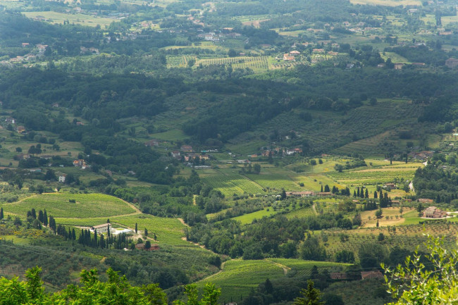 Rustico - Casale in vendita a Capannori