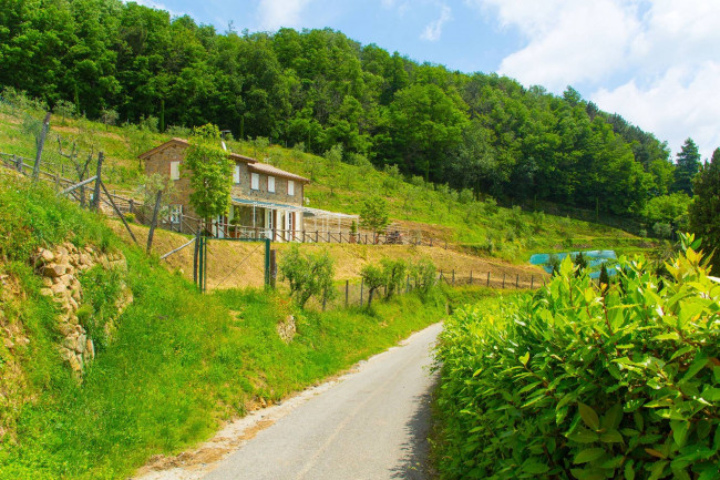 Rustico - Casale in vendita a Capannori