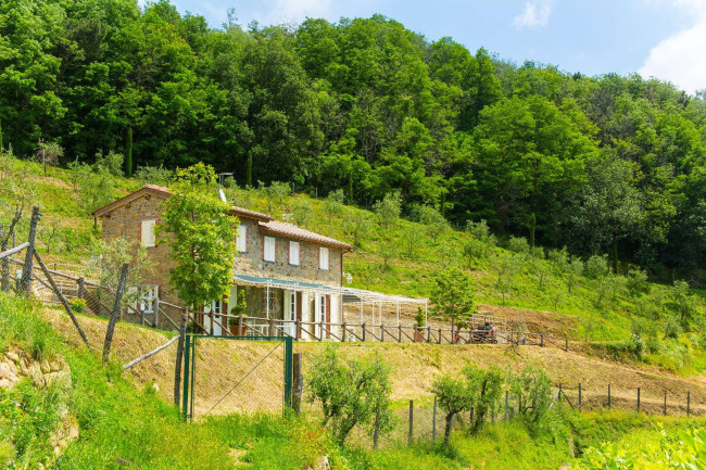 Rustico - Casale in vendita a Capannori
