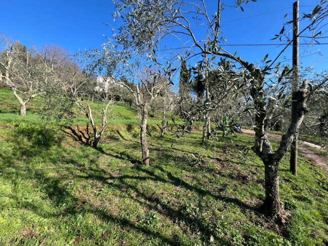 Villa in vendita a Camaiore