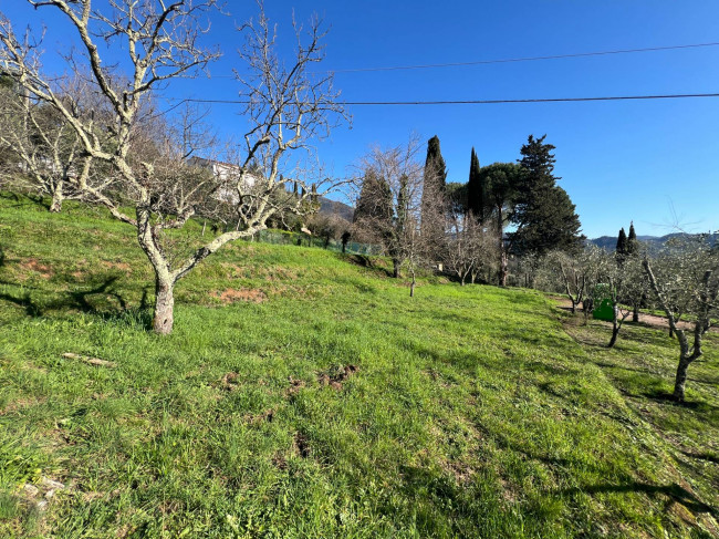 Villa in vendita a Camaiore