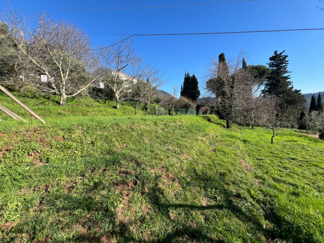 Villa in vendita a Camaiore