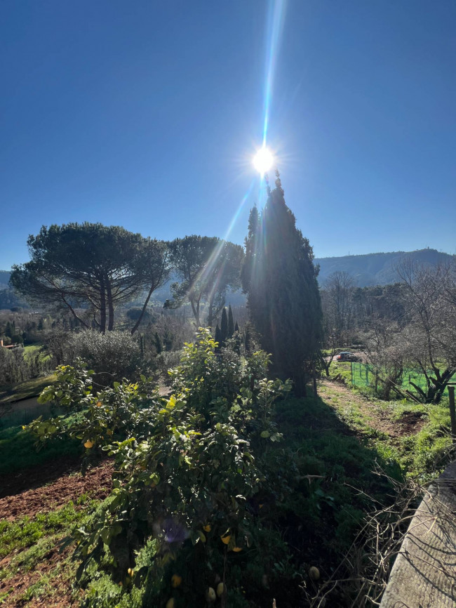 Villa in vendita a Camaiore
