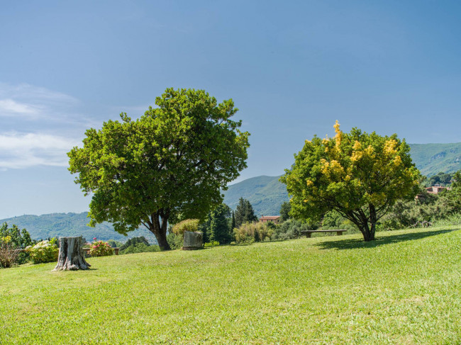 Rustico - Casale in vendita a Camaiore