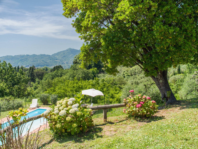 Rustico - Casale in vendita a Camaiore