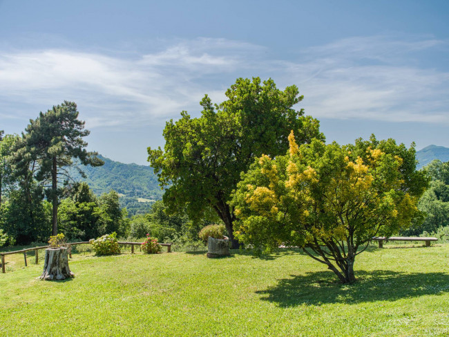 Rustico - Casale in vendita a Camaiore