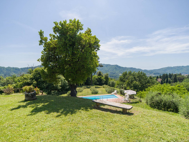 Rustico - Casale in vendita a Camaiore