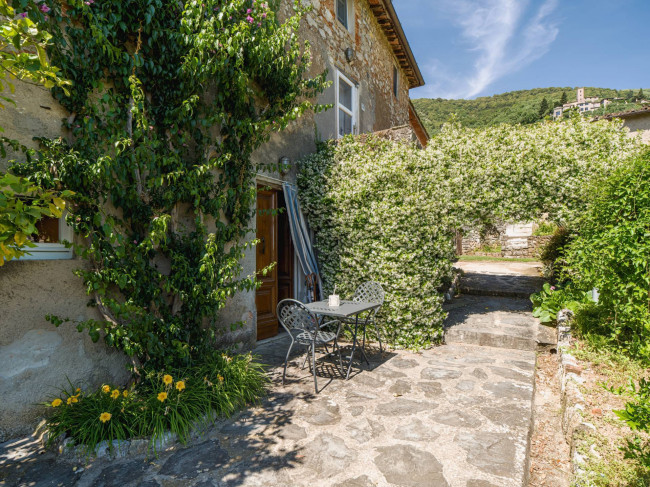 Rustico - Casale in vendita a Camaiore