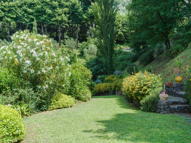 Rustico - Casale in vendita a Camaiore