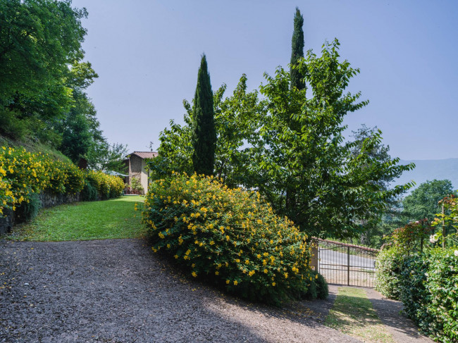 Rustico - Casale in vendita a Camaiore