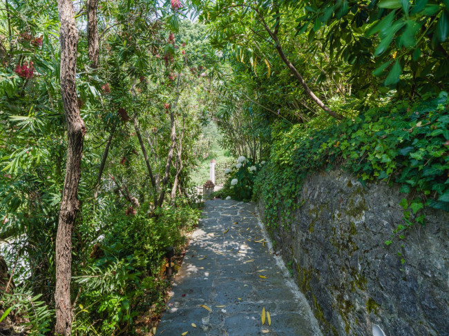 Rustico - Casale in vendita a Camaiore