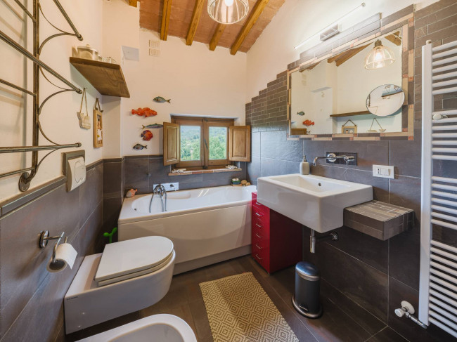 Rustico - Casale in vendita a Camaiore