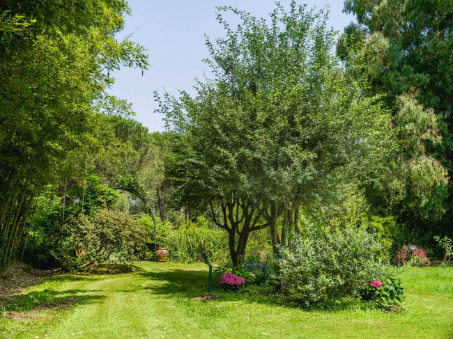 Villa in vendita a Massarosa