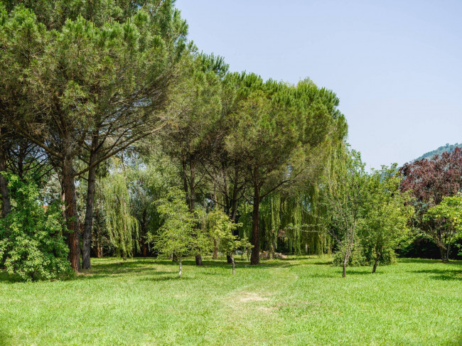 Villa in vendita a Massarosa
