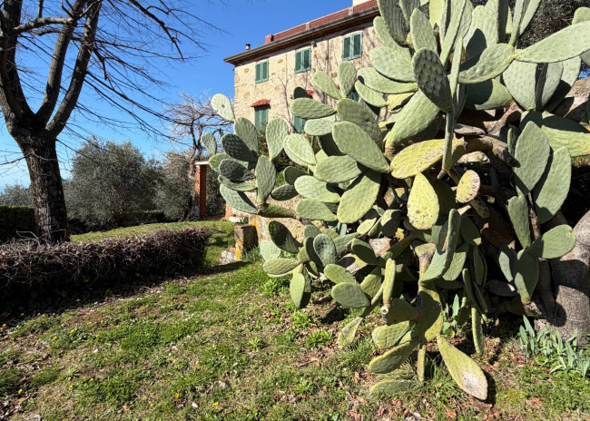 Rustico - Casale in vendita a Massarosa