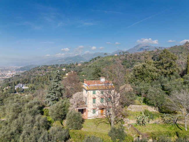 Rustico - Casale in vendita a Massarosa