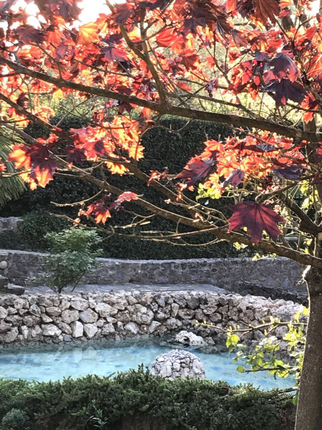 Rustico - Casale in vendita a Camaiore