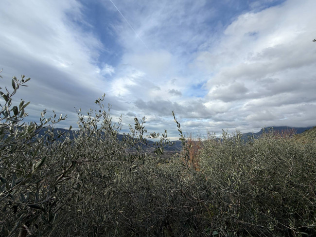 Rustic for sale in Camaiore