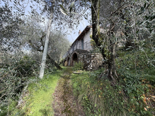 Rustic for sale in Camaiore