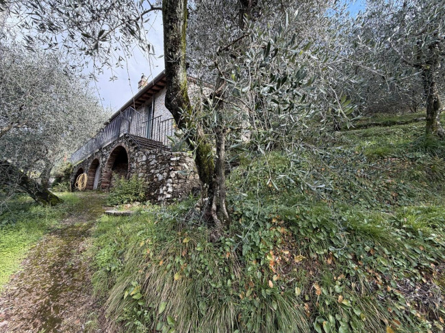 Rustic for sale in Camaiore