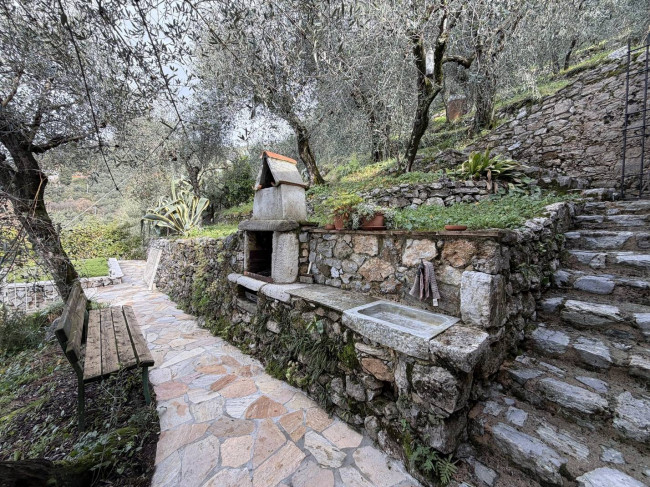 Rustic for sale in Camaiore