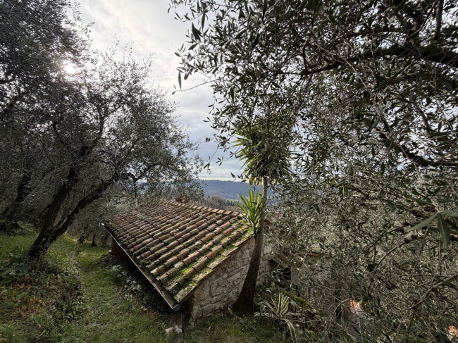 Rustic for sale in Camaiore