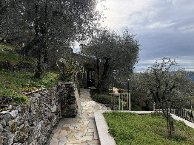 Rustico - Casale in vendita a Camaiore