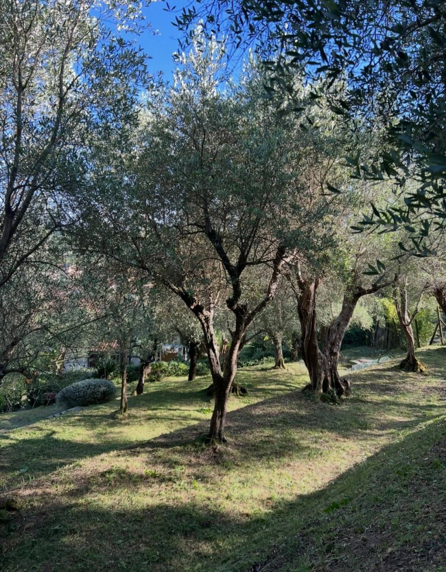 Villa in vendita a Massarosa