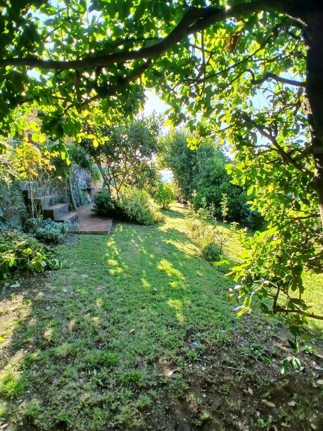 Rustico - Casale in vendita a Camaiore