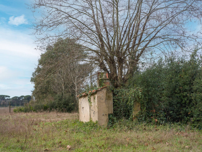 Villa in vendita a Viareggio
