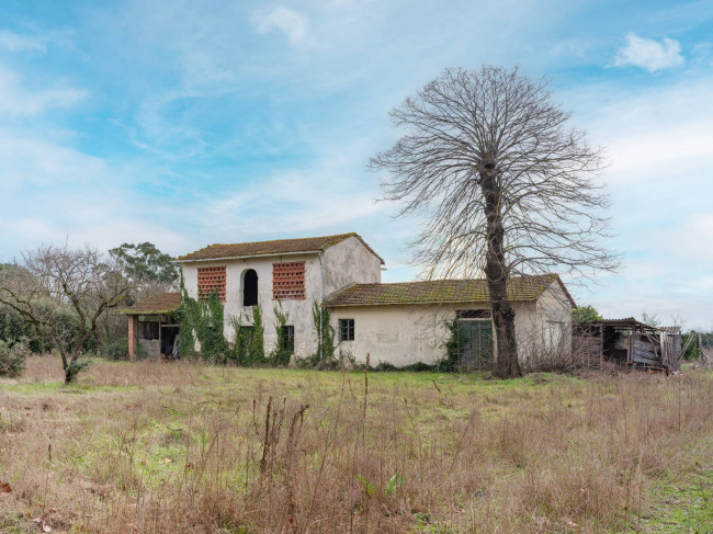 Villa in vendita a Viareggio
