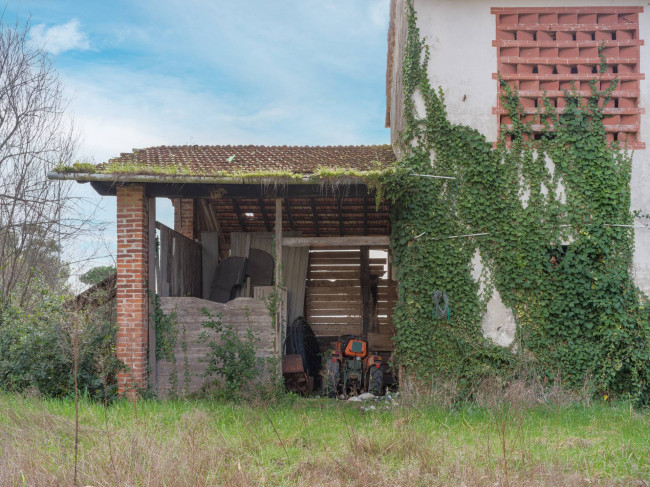 Villa in vendita a Viareggio