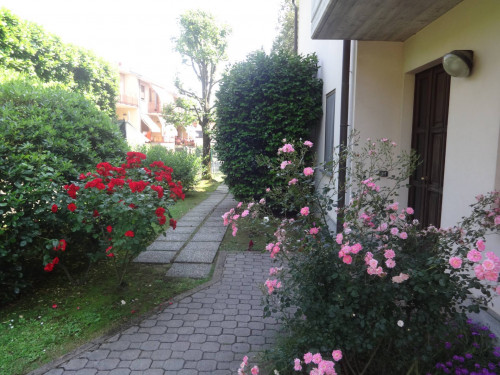 Appartamento in affitto a Albizzate