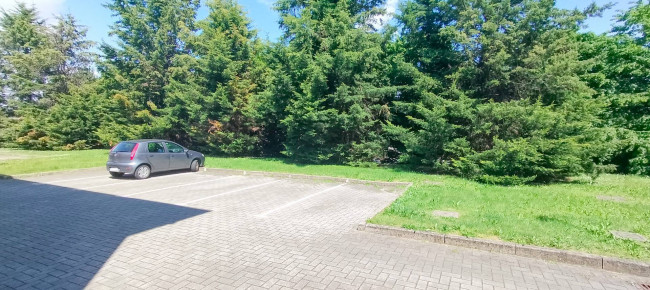 Appartamento in affitto a Cavaria con Premezzo