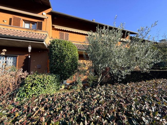 Villette a schiera in vendita a Cavaria con Premezzo