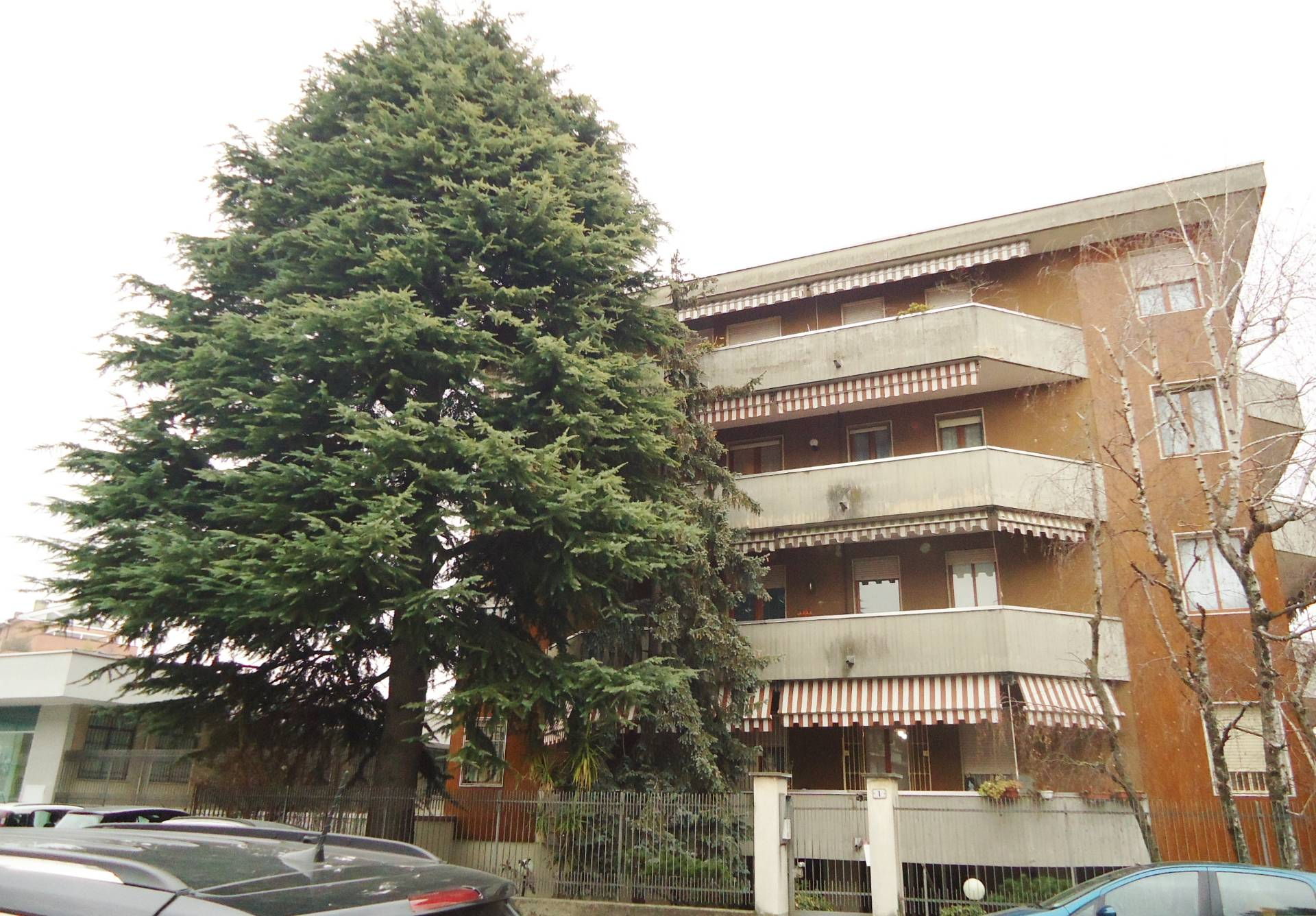 Appartamento GALLARATE vendita  Madonna in Campagna  Oliver Immobiliare