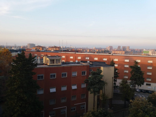 Appartamento in Affitto a Bologna