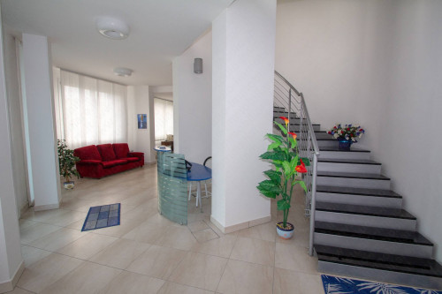 Studio/Ufficio in affitto a Castelnovo Bariano