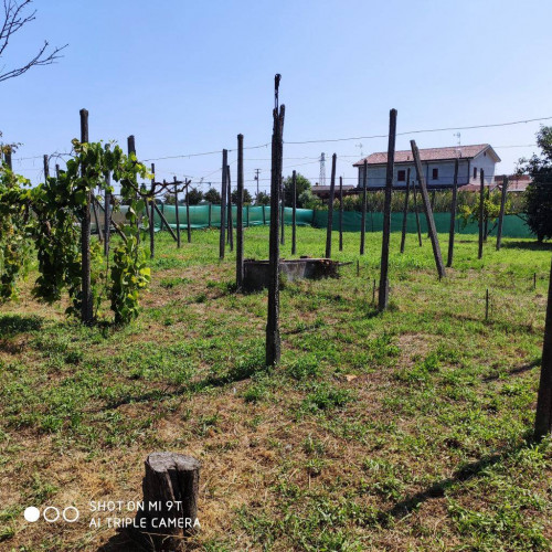 Casa indipendente in vendita a Castelnovo Bariano (RO)