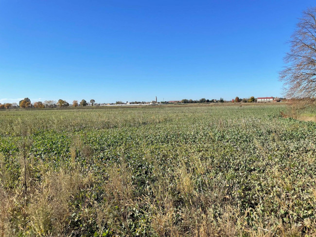 Terreno Agricolo in vendita a Ceneselli