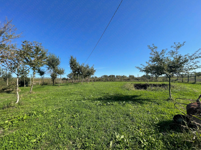 Villa in vendita a Sermide E Felonica (MN)