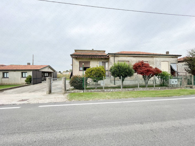 Casa singola in Vendita a Castelnovo Bariano