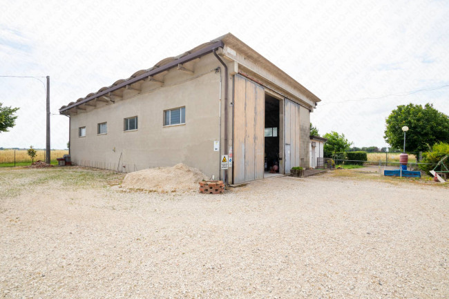 Magazzino in vendita a Ceneselli