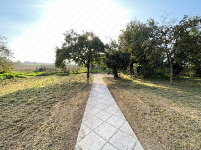Villa Singola in vendita a Ceneselli