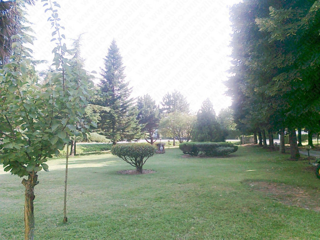Villa Singola in vendita a Calto