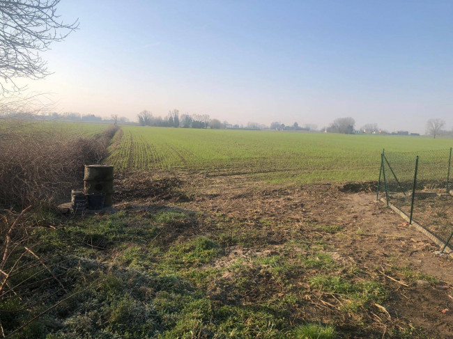 Terreno Agricolo in vendita a Trecenta