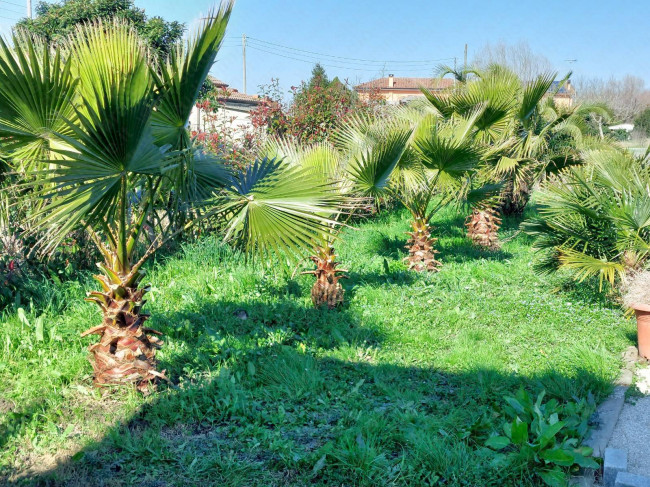Casa singola in vendita a Ceregnano