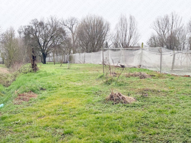 Bifamiliare in vendita a Castelmassa