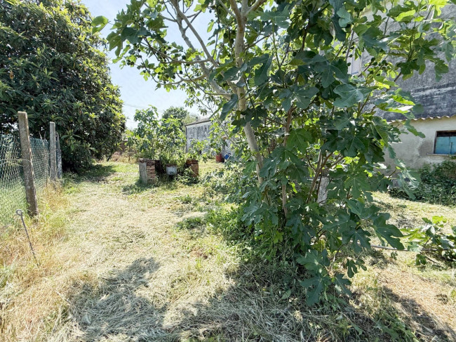 Casa in vendita a Ceneselli