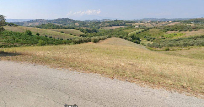 Terreno Agricolo in Vendita a Monsampolo del Tronto